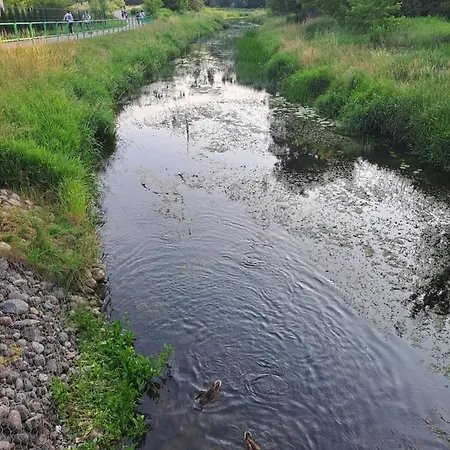 Nad Ustroniem דירה Gołdap